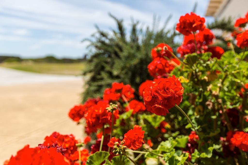 Cottages For Couples Port Fairy Exterior foto